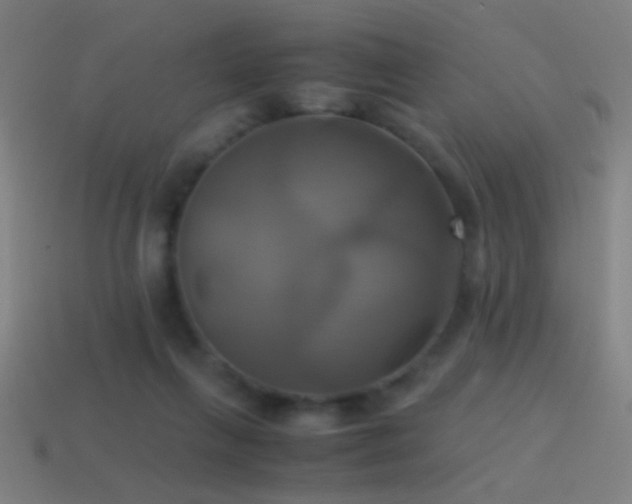 X0000114700263200910211258