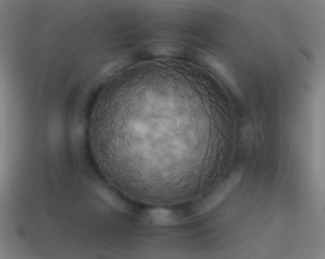 X0000114700265200910211258