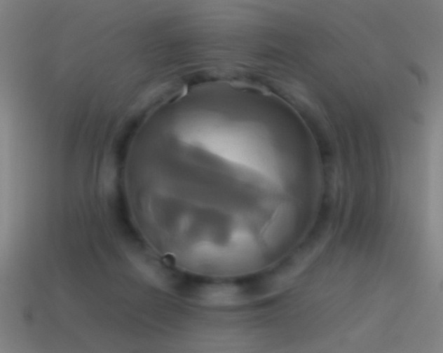 X0000114700266200910211258