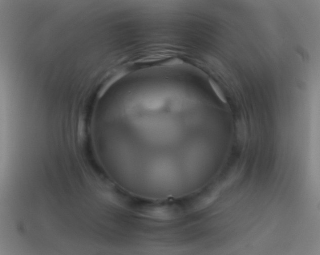 X0000114700267200910211258