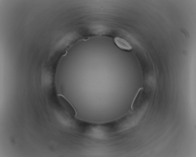 X0000114700268200910211258