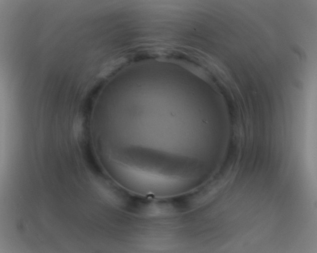 X0000114700270200910211258