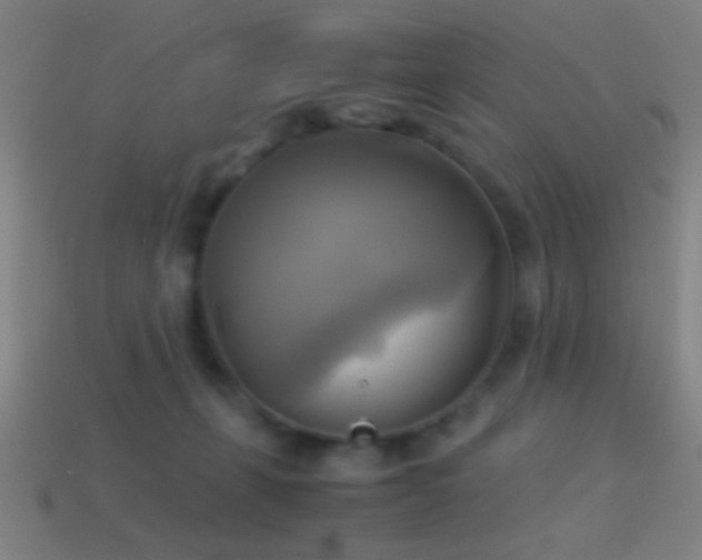 X0000114700271200910211258