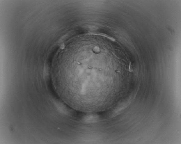 X0000114700274200910211258