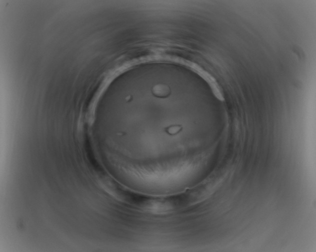 X0000114700275200910211258