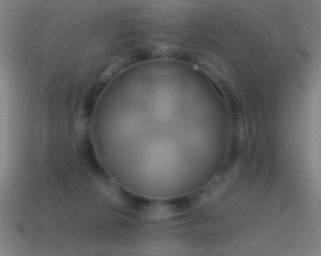 X0000114700276200910211258