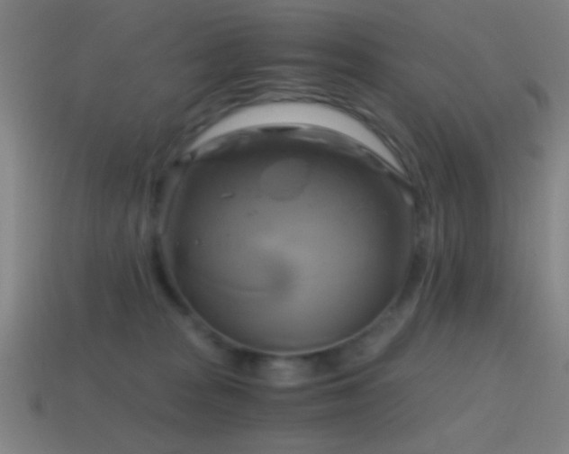 X0000114700277200910211258