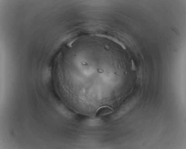 X0000114700278200910211258