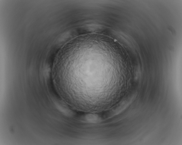 X0000114700279200910211258