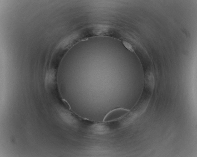 X0000114700280200910211258