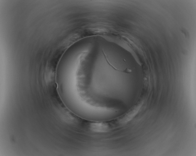 X0000114700281200910211258