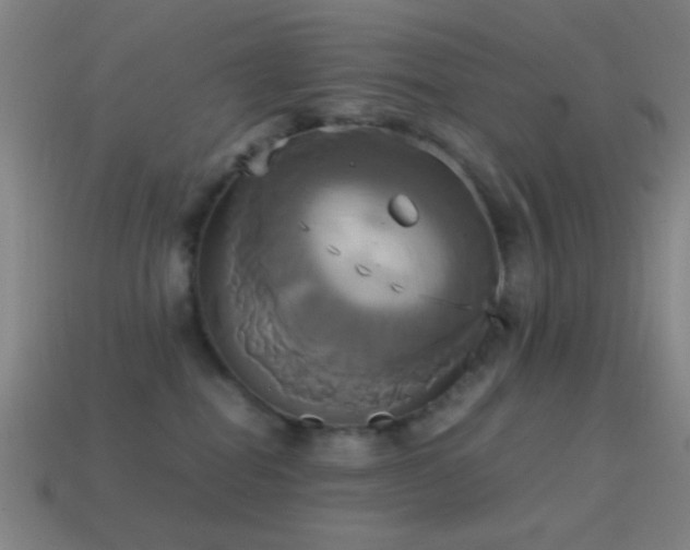 X0000114700282200910211258