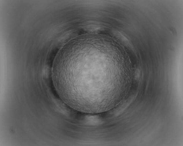 X0000114700283200910211258