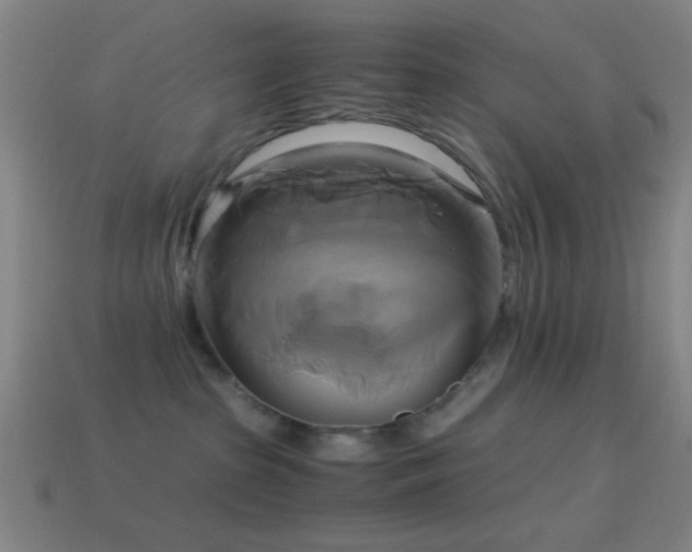 X0000114700285200910211258