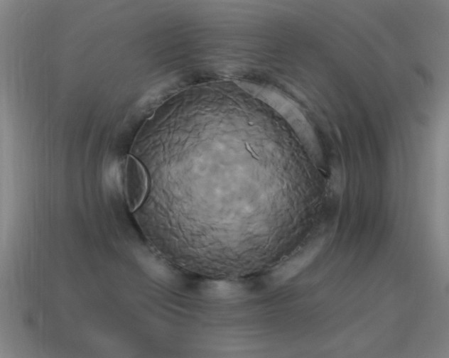 X0000114700286200910211258