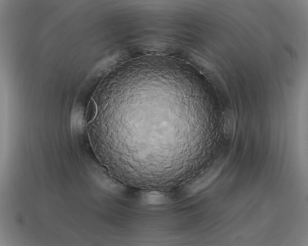 X0000114700287200910211258