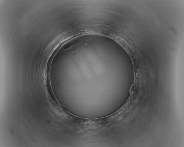 X0000114700290200910211258