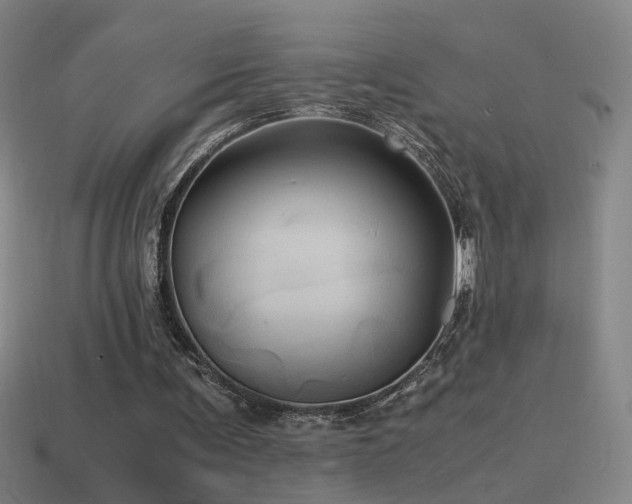 X0000114700291200910211257