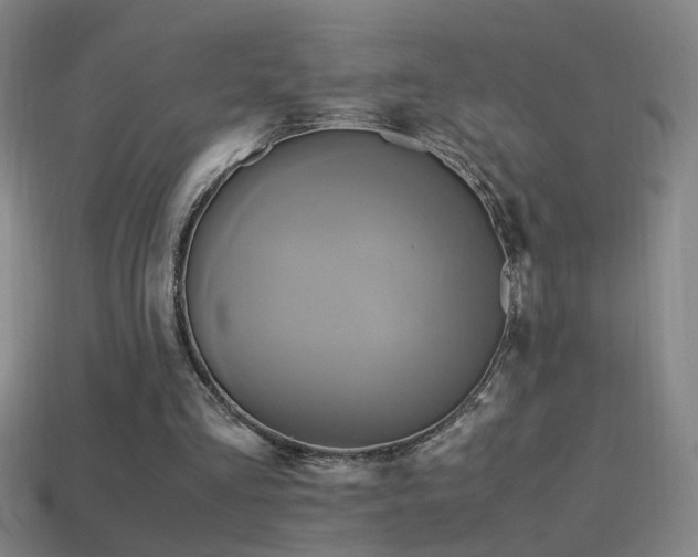 X0000114700293200910211257