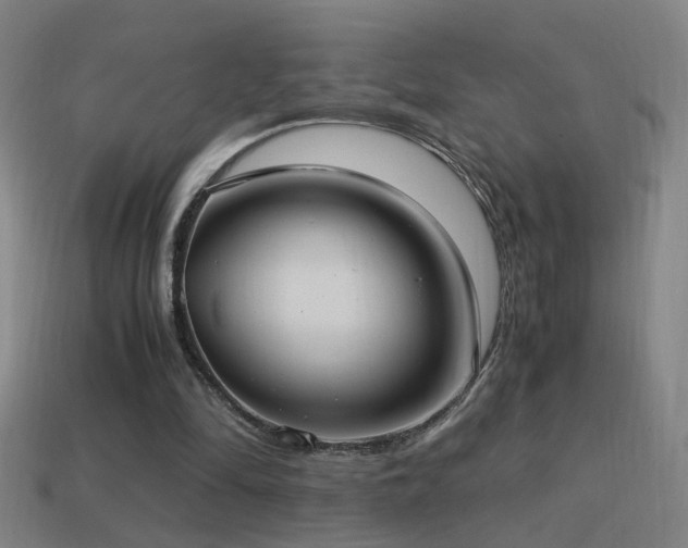 X0000114700294200910211257