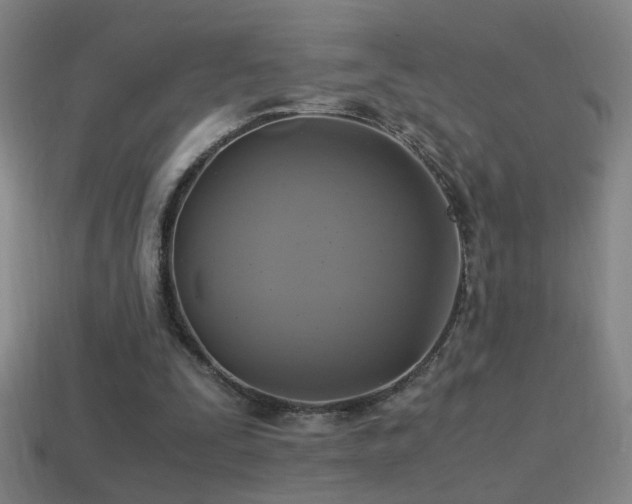 X0000114700295200910211257