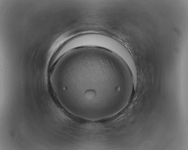 X0000114700296200910211257