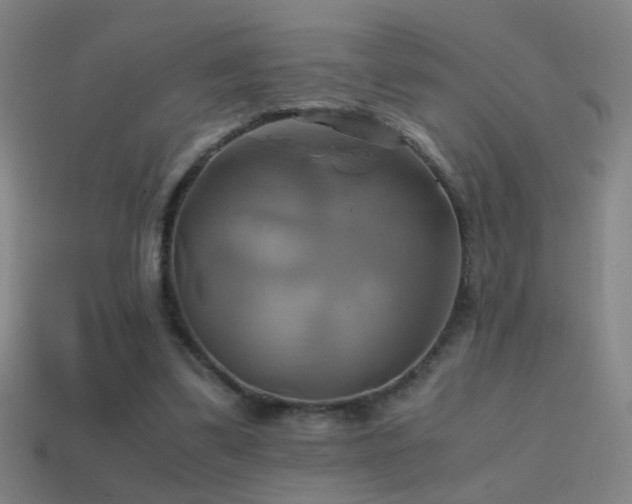 X0000114700299200910211257