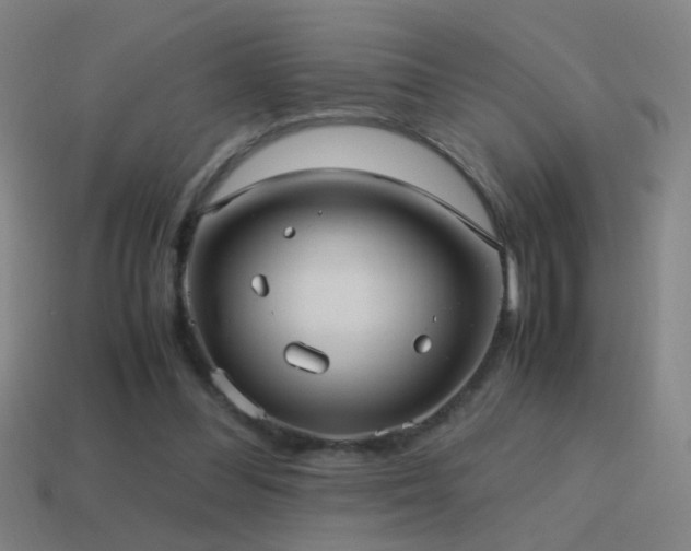 X0000114700300200910211257