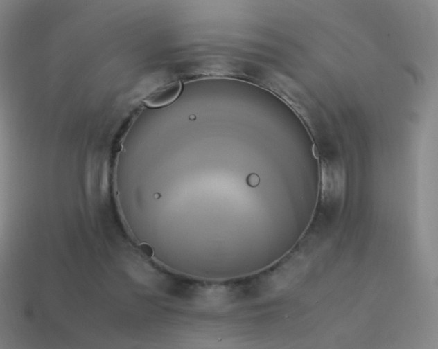 X0000114700301200910211257