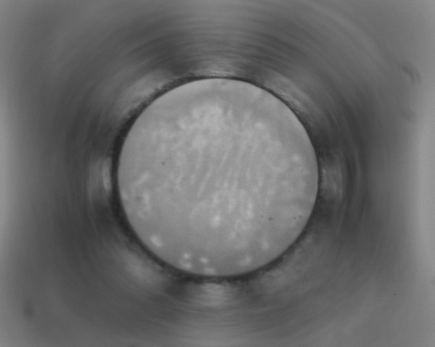 X0000114700302200910211257