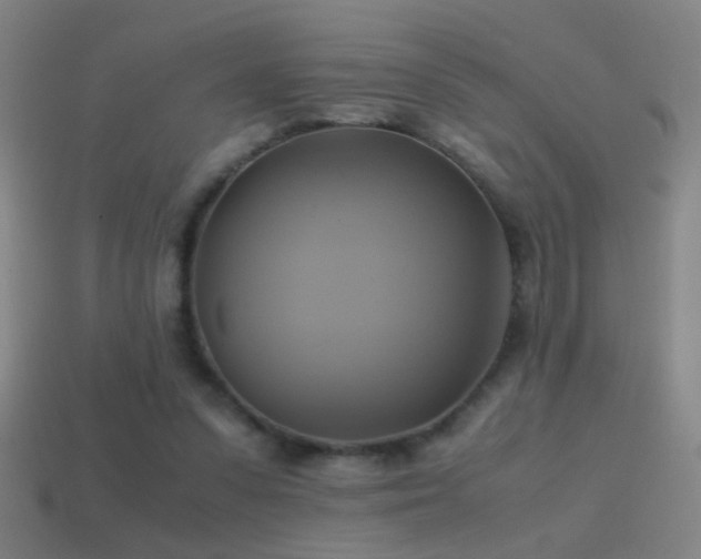 X0000114700303200910211257