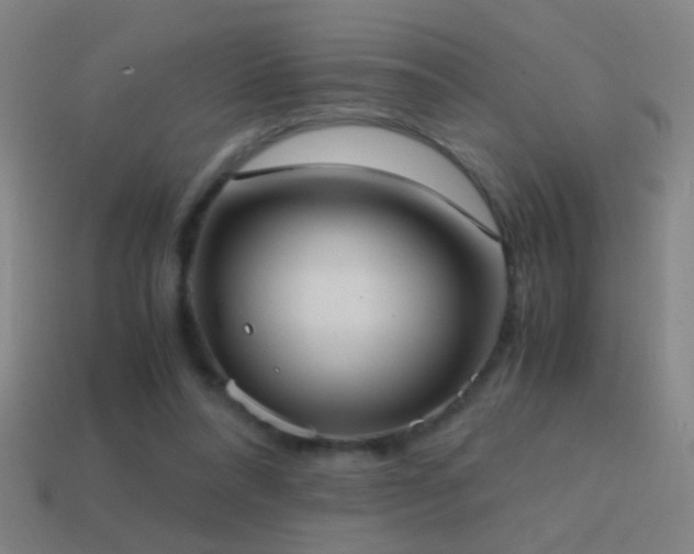 X0000114700304200910211257