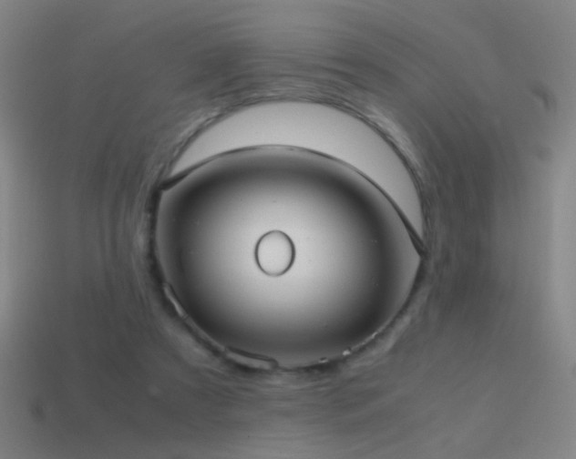 X0000114700305200910211257