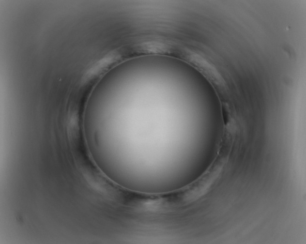 X0000114700306200910211257