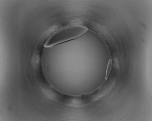 X0000114700308200910211257