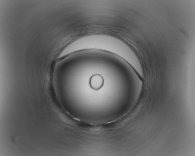 X0000114700309200910211257