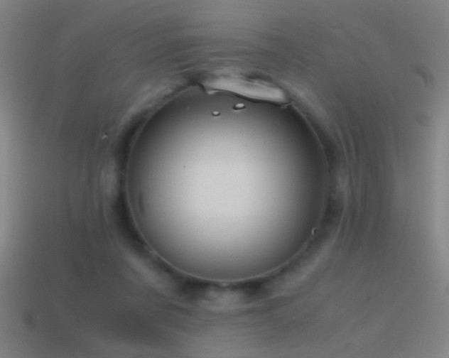 X0000114700311200910211257