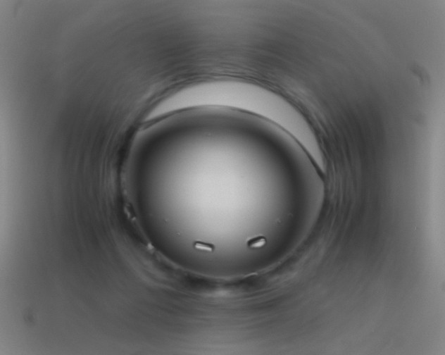 X0000114700312200910211257