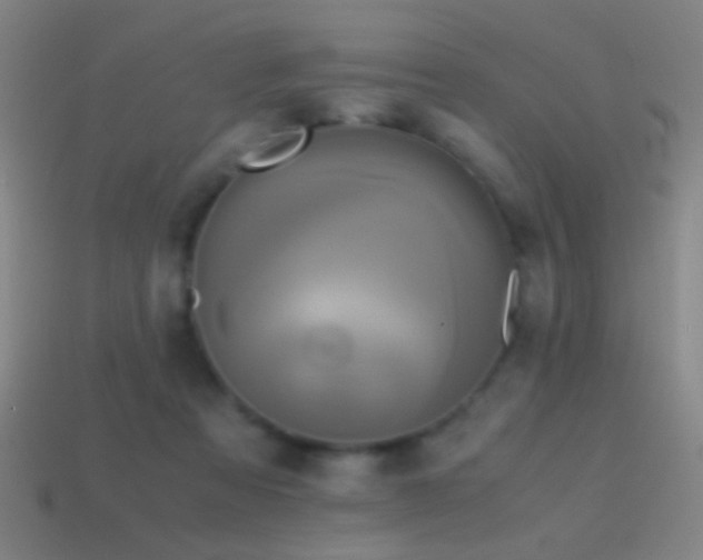 X0000114700313200910211257