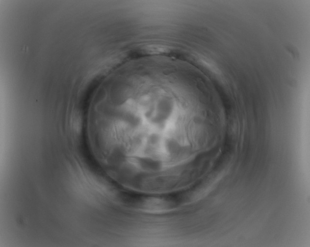 X0000114700315200910211257