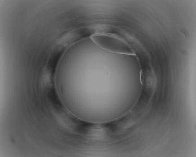 X0000114700316200910211257