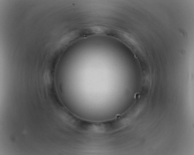 X0000114700317200910211257