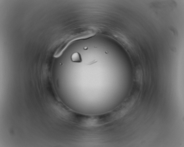 X0000114700318200910211257