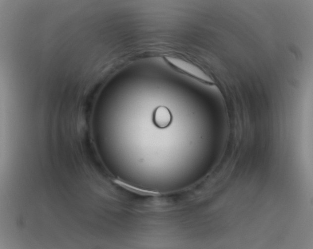 X0000114700320200910211257