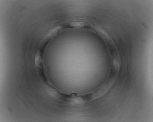 X0000114700322200910211257