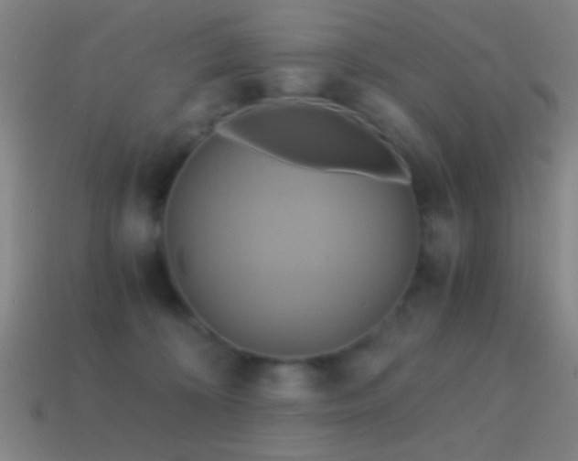 X0000114700324200910211257