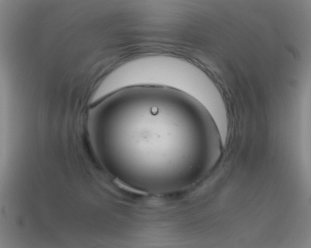 X0000114700325200910211257