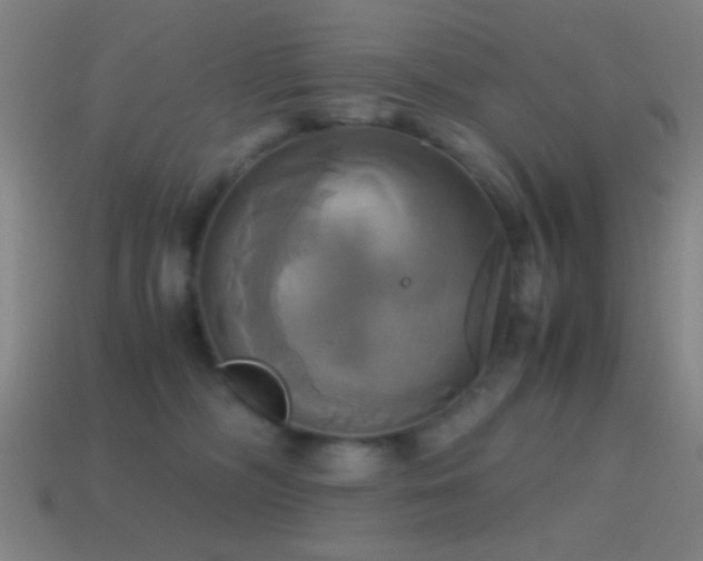 X0000114700326200910211257