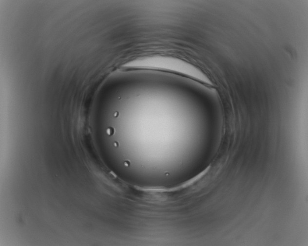 X0000114700328200910211257