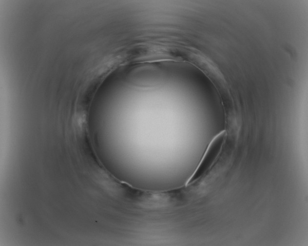 X0000114700329200910211257